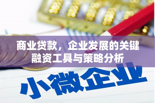 虎林商业贷款，企业发展的关键融资工具与策略分析