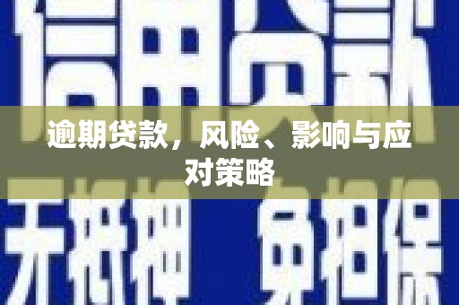 虎林逾期贷款，风险、影响与应对策略