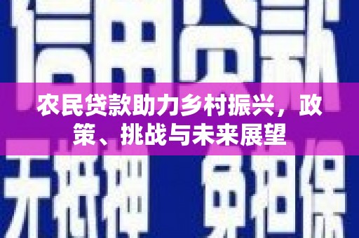 虎林农民贷款助力乡村振兴，政策、挑战与未来展望