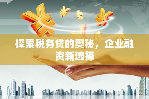 虎林探索税务贷的奥秘，企业融资新选择