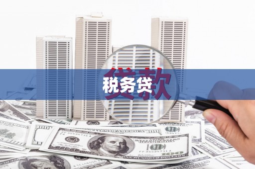 虎林税务贷