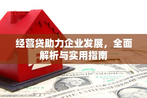 虎林经营贷助力企业发展，全面解析与实用指南