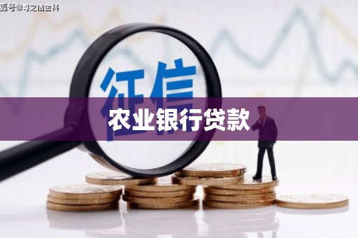 虎林农业银行贷款