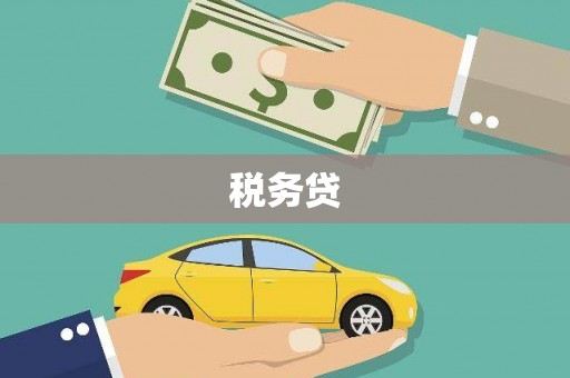 虎林税务贷