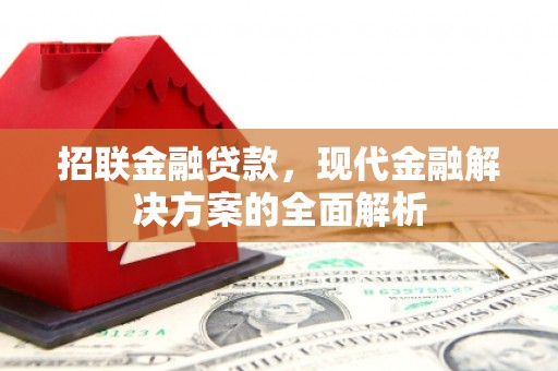虎林招联金融贷款，现代金融解决方案的全面解析