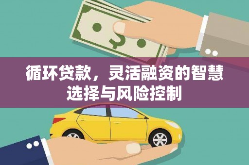 虎林循环贷款，灵活融资的智慧选择与风险控制