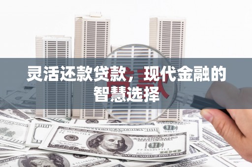 虎林灵活还款贷款，现代金融的智慧选择