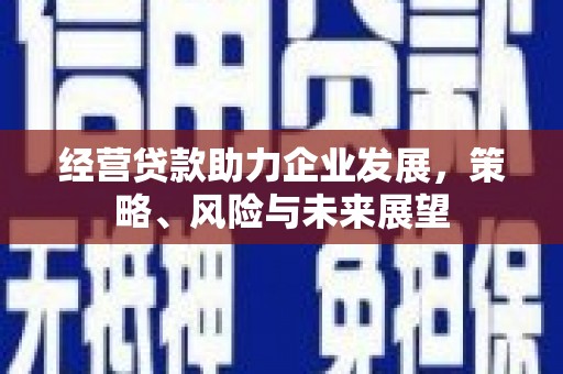 虎林经营贷款助力企业发展，策略、风险与未来展望