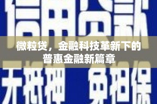 虎林微粒贷，金融科技革新下的普惠金融新篇章