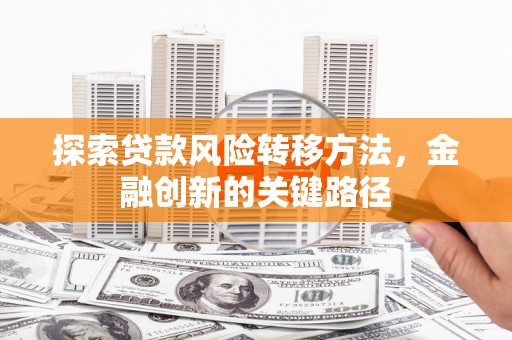 虎林探索贷款风险转移方法，金融创新的关键路径