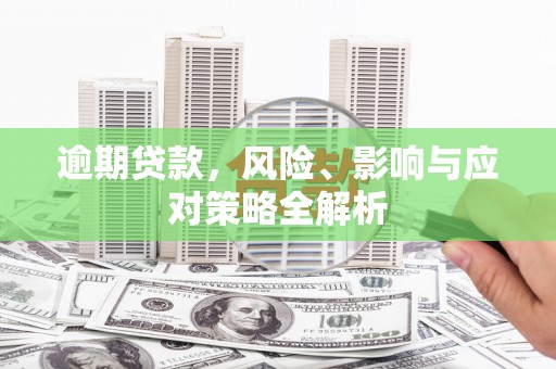 虎林逾期贷款，风险、影响与应对策略全解析