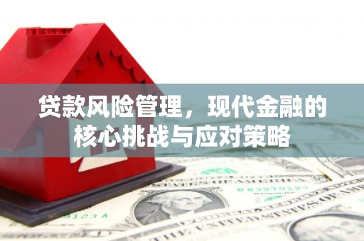 虎林贷款风险管理，现代金融的核心挑战与应对策略