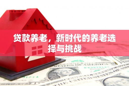 虎林贷款养老，新时代的养老选择与挑战