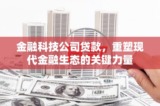 虎林金融科技公司贷款，重塑现代金融生态的关键力量