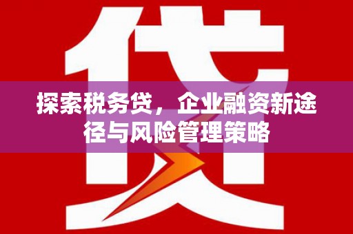 虎林探索税务贷，企业融资新途径与风险管理策略