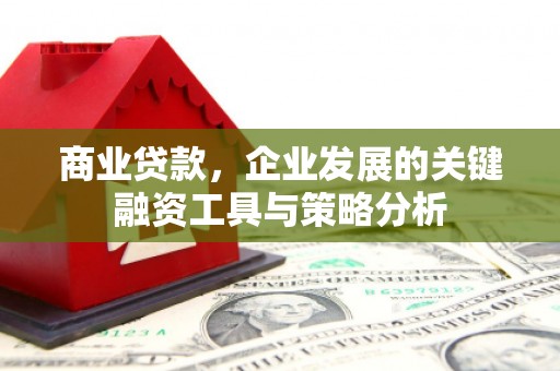 虎林商业贷款，企业发展的关键融资工具与策略分析