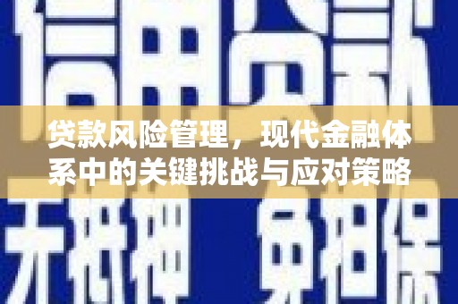 虎林贷款风险管理，现代金融体系中的关键挑战与应对策略