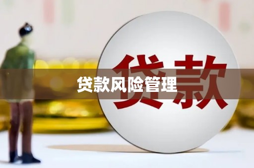虎林贷款风险管理