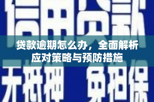 虎林贷款逾期怎么办，全面解析应对策略与预防措施