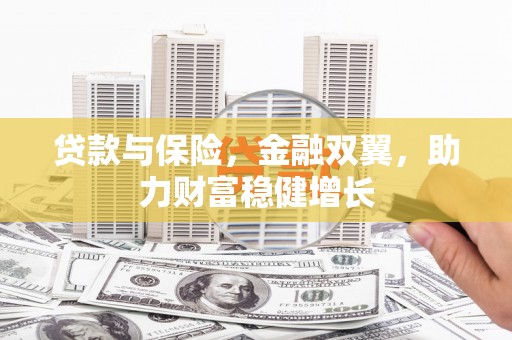 虎林贷款与保险，金融双翼，助力财富稳健增长
