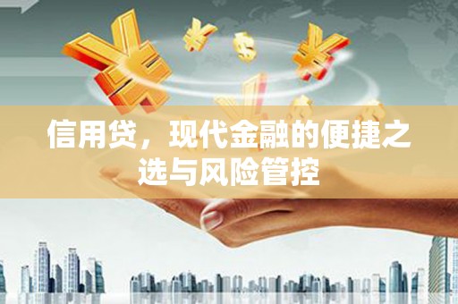 虎林信用贷，现代金融的便捷之选与风险管控
