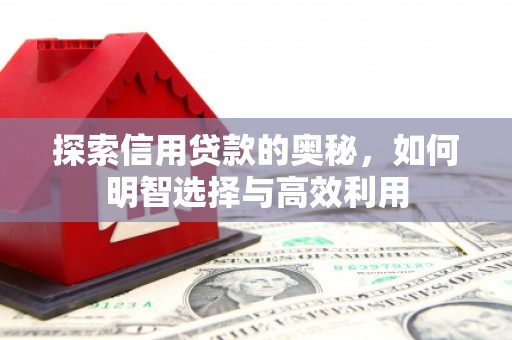 虎林探索信用贷款的奥秘，如何明智选择与高效利用