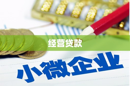 虎林经营贷款