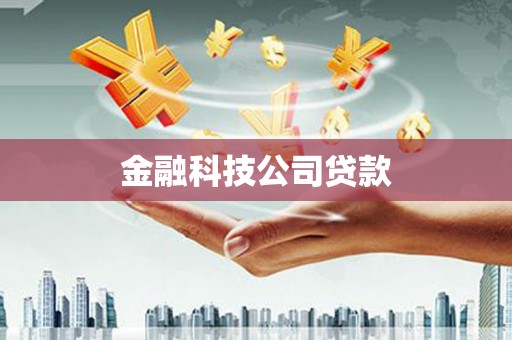 虎林金融科技公司贷款