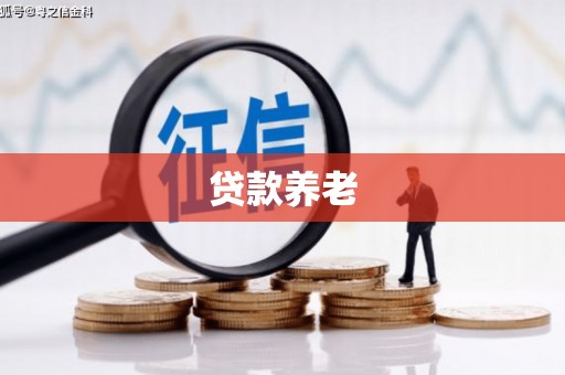 虎林贷款养老