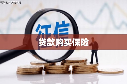 虎林贷款购买保险
