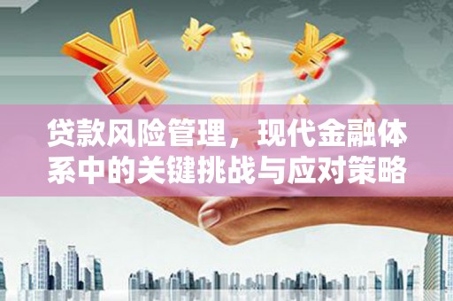 虎林贷款风险管理，现代金融体系中的关键挑战与应对策略
