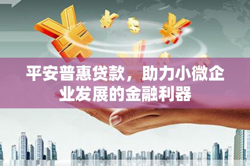 虎林平安普惠贷款，助力小微企业发展的金融利器