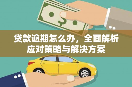虎林贷款逾期怎么办，全面解析应对策略与解决方案