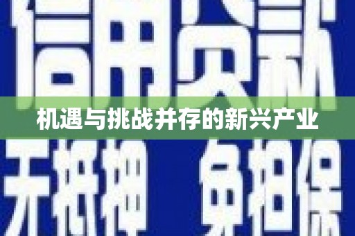 虎林机遇与挑战并存的新兴产业