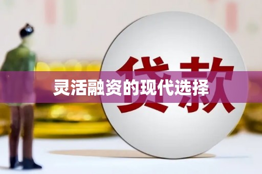 虎林灵活融资的现代选择