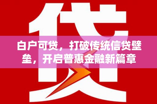 虎林白户可贷，打破传统信贷壁垒，开启普惠金融新篇章