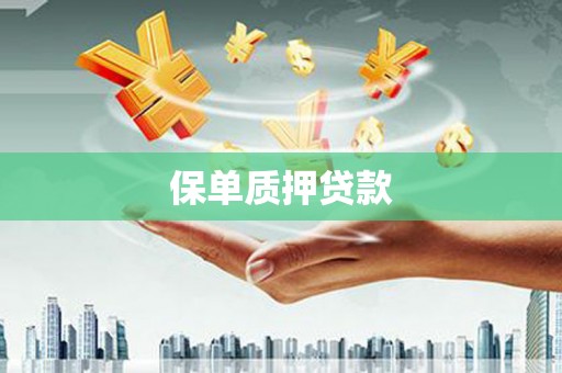 虎林保单质押贷款