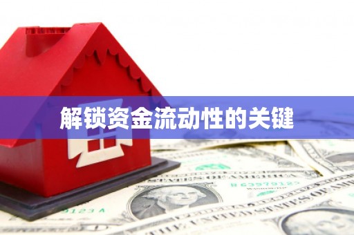 虎林解锁资金流动性的关键