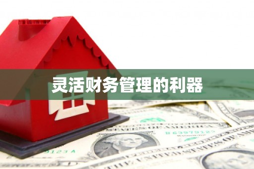 虎林灵活财务管理的利器