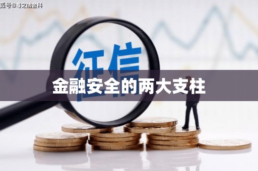 虎林金融安全的两大支柱