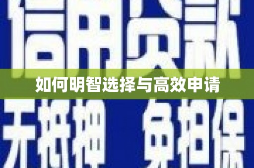 虎林如何明智选择与高效申请