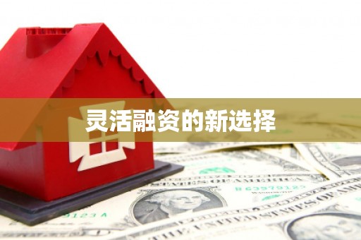 虎林灵活融资的新选择