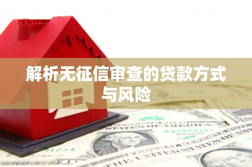 虎林解析无征信审查的贷款方式与风险