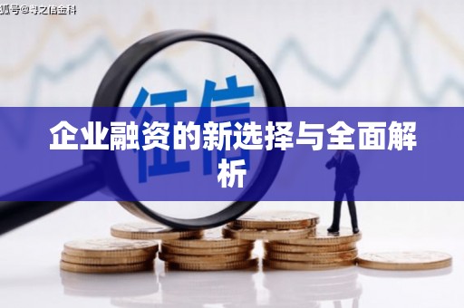 虎林企业融资的新选择与全面解析