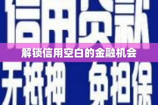 虎林解锁信用空白的金融机会