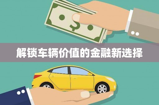 虎林解锁车辆价值的金融新选择