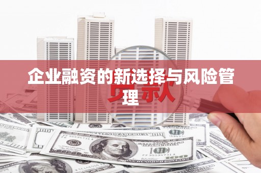 虎林企业融资的新选择与风险管理