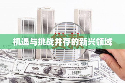 虎林机遇与挑战并存的新兴领域