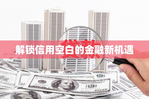 虎林解锁信用空白的金融新机遇