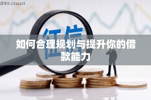虎林如何合理规划与提升你的借款能力